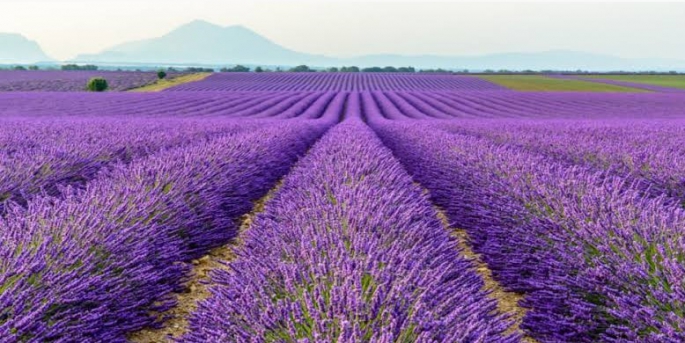 Agro Turizme katkı sağlanması hedefleniyor.