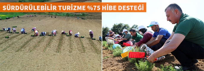 Agro ve Ekoturizm Kooperatiflerine % 75 hibe desteği verilecek