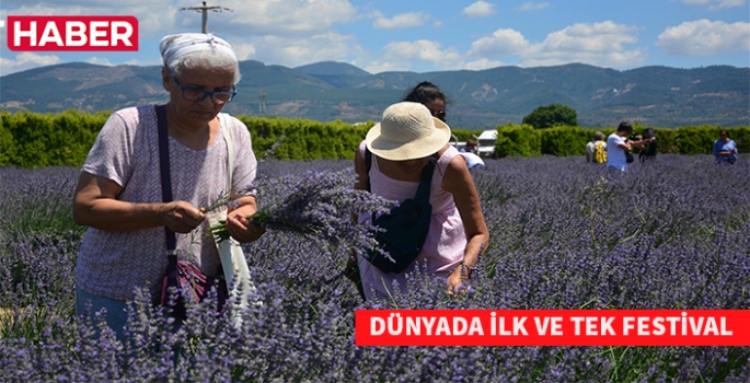 Aromaterapinin şifalı dünyasına yolculuk başladı.