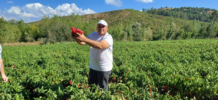 Beytullah Yılmaz: Geleceğin Yaşam Alanları Köyler Olacak