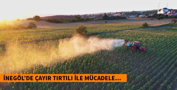 Çayır Tırtılı ile mücadele devam ediyor