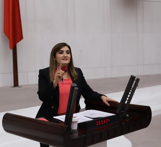 CHP İZMİR MİLLETVEKİLİ AV. SEVDA ERDAN KILIÇ'IN BASIN AÇIKLAMASI