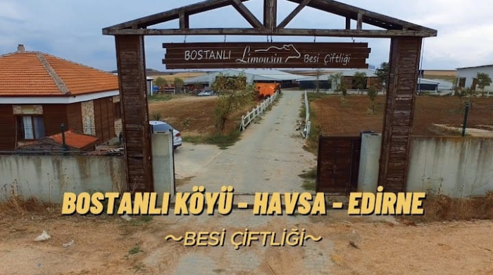 Edirne Havsa’da Modern Besicilik: Bostanlı Limousin’in Başarı Hikayesi