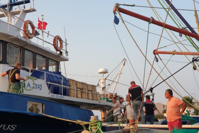 Ege Denizi'nde Sıkı Denetimler: Sürdürülebilir Balıkçılık İçin Kararlılık