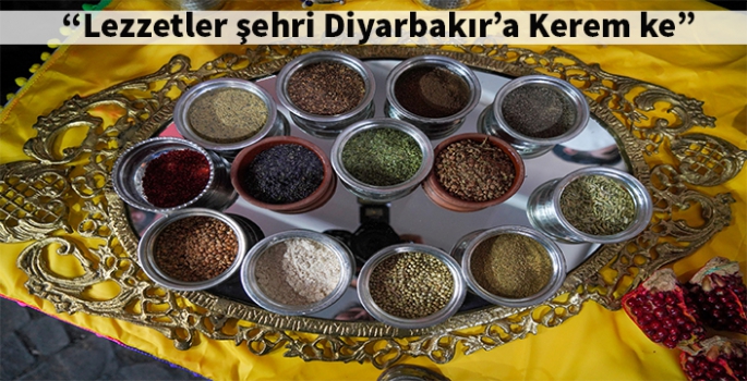 Medeniyetler şehri Diyarbakır'a keremke