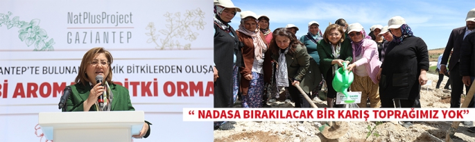 Gaziantep'te Tıbbı ve Aromatik Bitkiler Ormanı Kuruldu