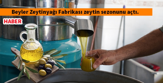 Günlük 20 ton zeytin sıkımı yapabilen fabrika faaliyete başladı