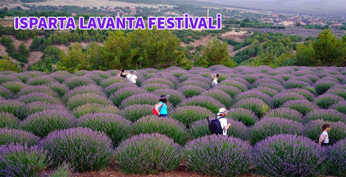 Isparta Lavanta Festivali 22 Temmuz'da başlıyor