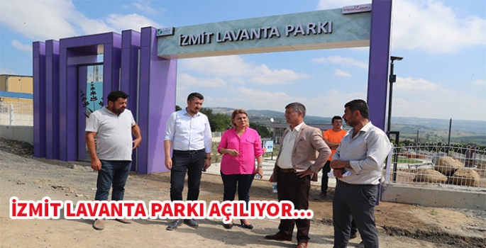 İzmit Lavanta Parkı Açılıyor