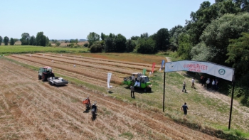 Edirne Cumhuriyet Çiftliği'nde hasat zamanı