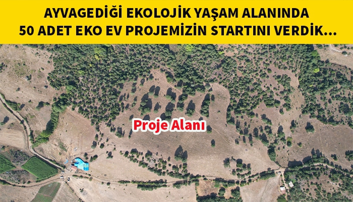 Kaz Dağları'nın Serin Havasında Sürdürülebilir Yaşam: Ayvagediği Projesi