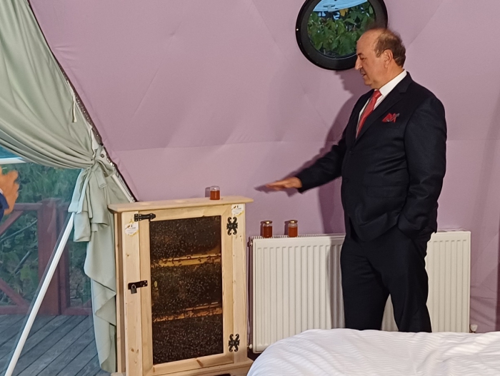 Kazdağları'nda Sürdürülebilir İnovasyon: Vadi Kazdağları Projesi ve Arı Meditasyon Merkezi