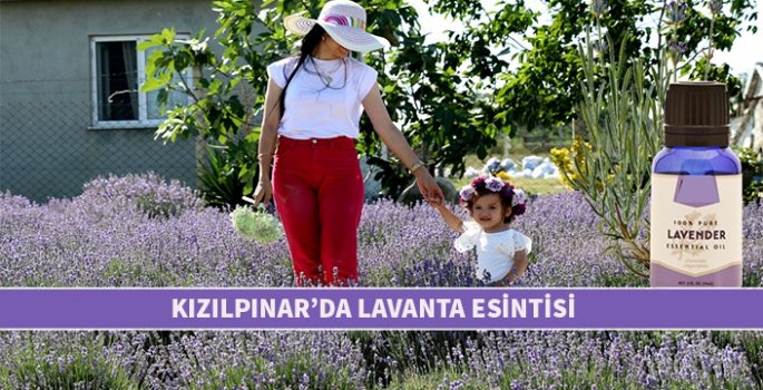 Kızılpınar'da Lavanta esintisi