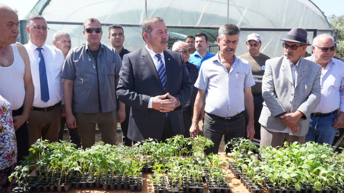  Milas Belediyesi Üreticilere Yerli Tohumlardan Fide Desteği Sağlıyor