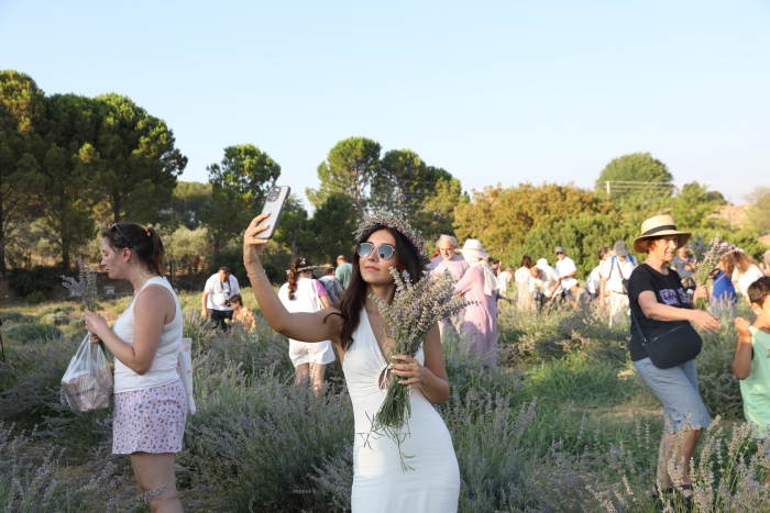 Mis Kokulu Seferihisar: Lavanta Hasadı Festivali