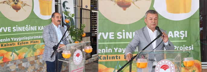 Narenciyede kalıntı sorunu kalmayacak