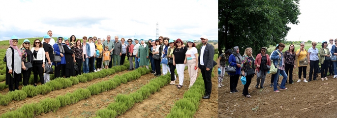 Tıbbi Aromatik Bitkileri yerinde incelediler.