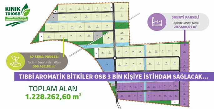 Türkiye'de ilk; Kınık tıbbi aromatik bitkiler OSB kuruluyor