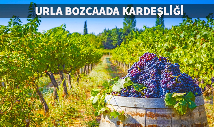 Urla ve Bozcaada’dan Gastronomi ve Tarımda Kardeşlik İş Birliği