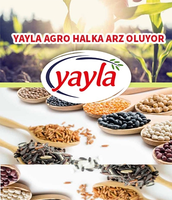 Yayla Agro halka açlıyor