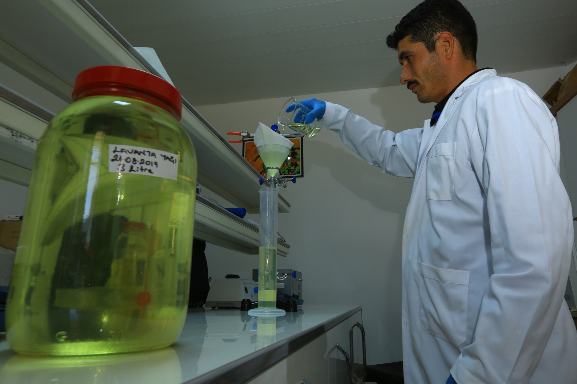 Muğla’nın Aromatik Bitkilerini İşliyor