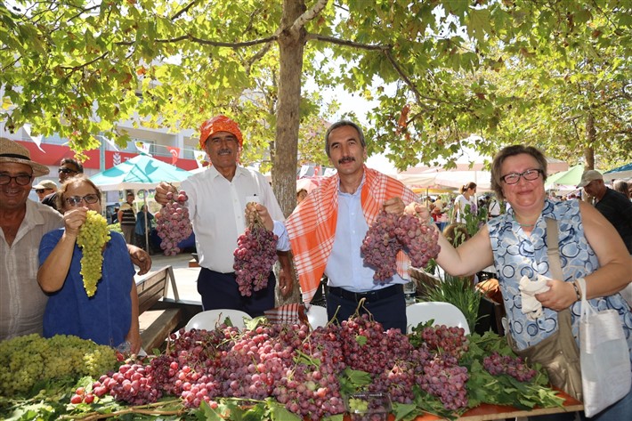 Urla’da Bağbozumu Zamanı