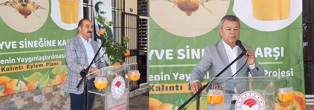 Narenciyede kalıntı sorunu kalmayacak
