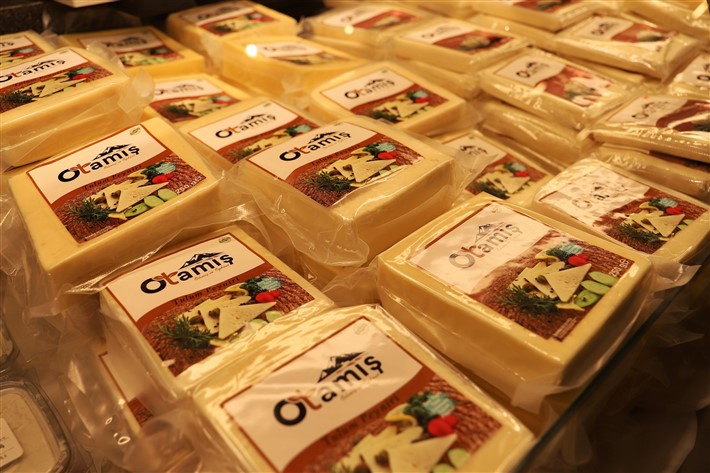 www.otamis.com.tr
