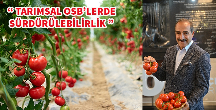 Türk üreticisi üretiyor, ihracatçı dövize dönüştürüyor
