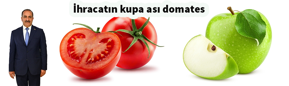Rusya, Almanya ve Romanya en çok ihracat yapılan ülkeler